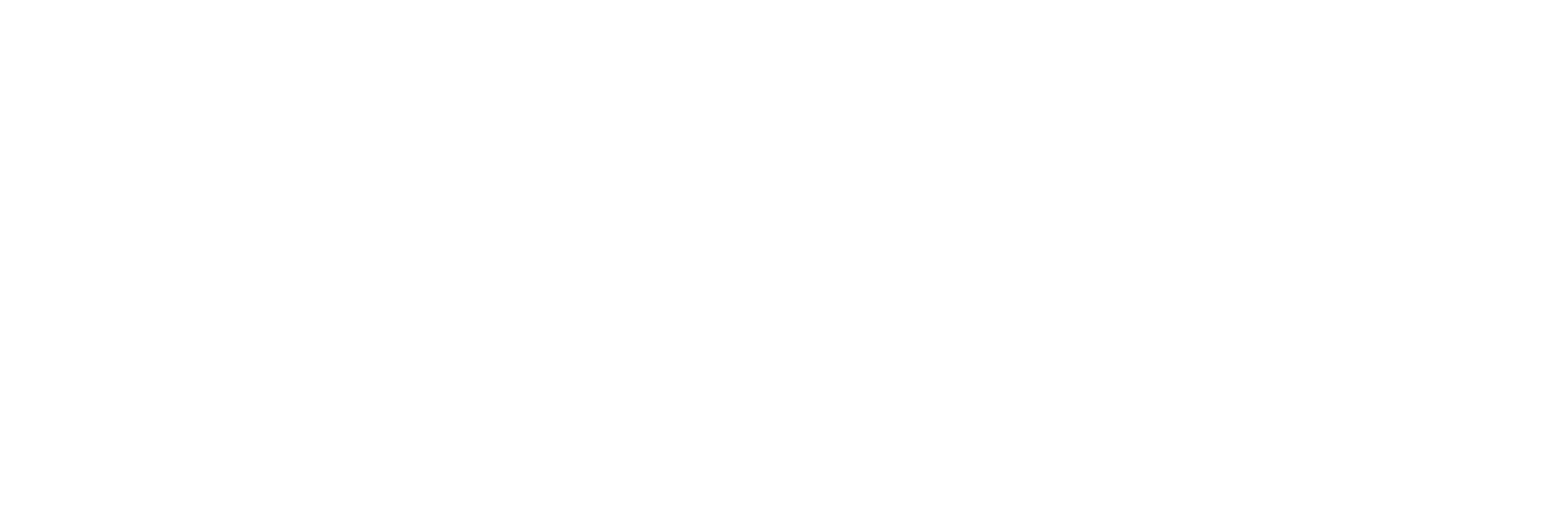 hanza-resources-logo-white-two-lines-optimized